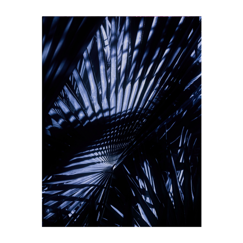 Bluepalm