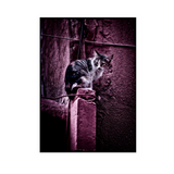 Sur le mur